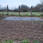 Bozótírtás és konyhakert építés után