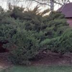 Fatelepítés előtt