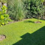 Füvesítés díszkerttel utána
