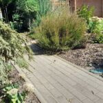 Békés botanika díszkert