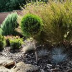 Békés Botanika kertépítés