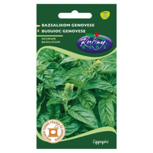 Bazsalikom vetőmag - Rédei kertimag