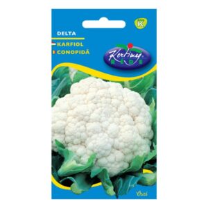 Rédei Kertimag Karfiol, Delta ( őszi ) 1 g