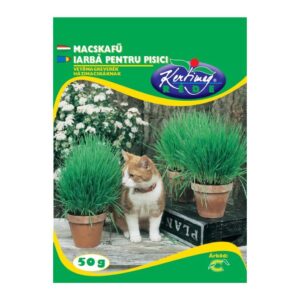 Macskafű 50 g - Rédei Kertimag