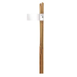 Nortene Bamboo bambusz termesztő karó