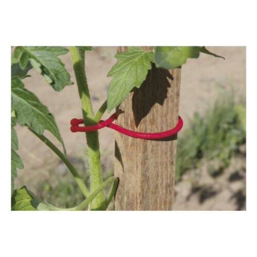 Nortene Tomatoclip - Paradicsom kötöző 25 dbcs