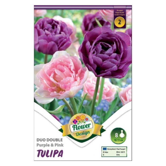 Lila és fehér teltvirágú tulipánkeverék virághagyma - ‘Duo Double Purple & White’