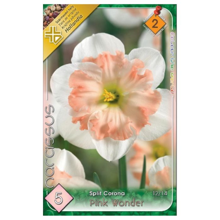 Rózsaszín csészéjű nárcisz virághagyma - 'Pink Wonder'