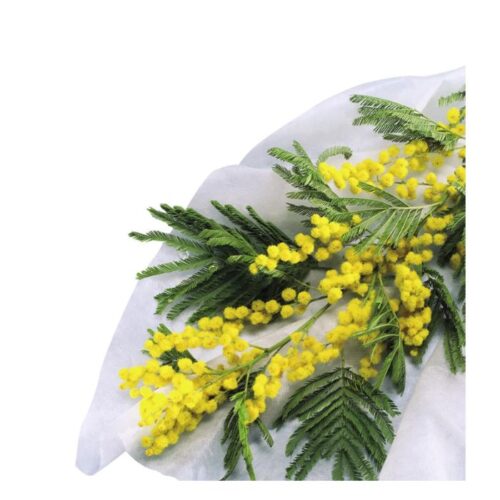 Nortene HIVERTEX 1 x 10 m