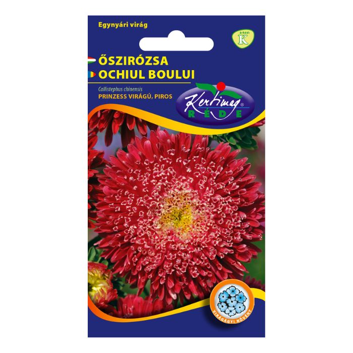 Tűzpiros szirmaival díszítő őszirózsa fajta, ideális vágott virágnak és napos virágágyásokba