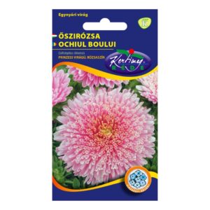 Őszirózsa, Prinzess Rózsaszín 1 g - Rédei Kertimag