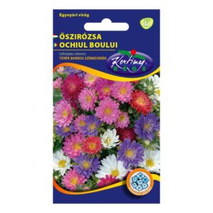 Őszirózsa, Törpe bokros színkeverék 1 g - Rédei Kertimag