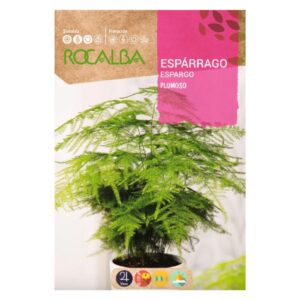 Aszparagusz vetőmag 0,5 g - Rocalba