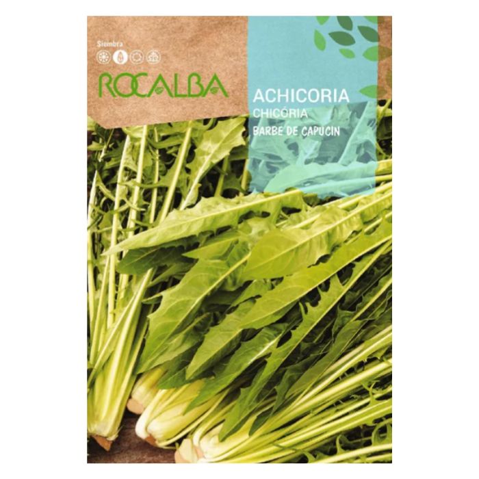 Cikóriasaláta vetőmag 'Barbe de Capucin' 10 g - Rocalba