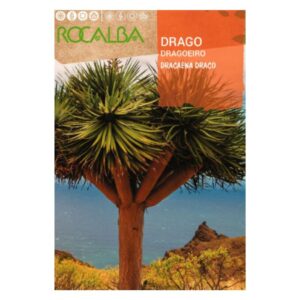 Drago Pálma Sárkányfa vetőmag 4 szem - Rocalba