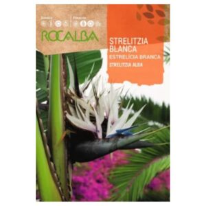 Fehér papagájvirág vetőmag 3 szem- Rocalba