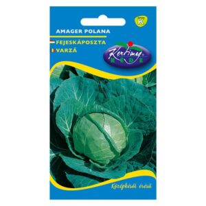 Fejeskáposzta Amager 2 g - Rédei Kertimag