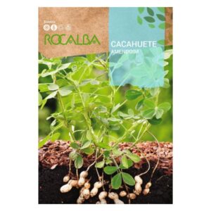 Földimogyoró vetőmag 10 g - Rocalba