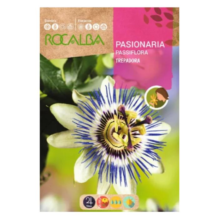 Golgotavirág vetőmag 0,5 g - Rocalba