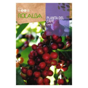 Kávécserje vetőmag 4 szem - Rocalba