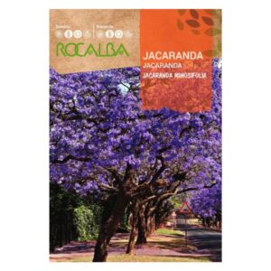Mimózalevelű Dzsakaranda vetőmag 0,5 g - Rocalba