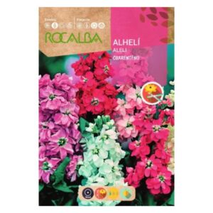 Nyári viola teltvirágú színkeverék vetőmag 1 g - Rocalba