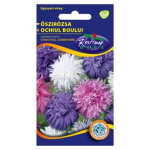 Őszirózsa Structcoll színkeverék vetőmag 1 g - Rédei Kertimag