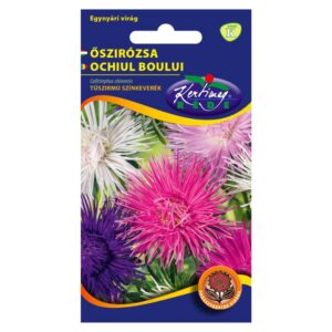 Őszirózsa Tűszirmú színkeverék vetőmag 1 g - Rédei Kertimag