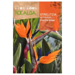 Papagájvirág vetőmag 0,5 g - Rocalba