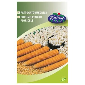 Pattogatókukorica vetőmag 'Plomyk' 50 szem- Rédei Kertimag