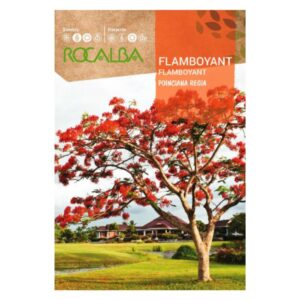 Pillangófa vetőmag 1 g - Rocalba