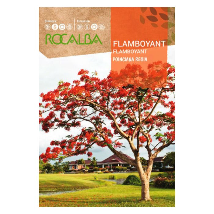 Pillangófa vetőmag 1 g - Rocalba