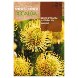 Protea leucospermum 'High Gold', cukorcserje vetőmag 6 szem - Rocalba