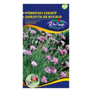 Pünkösdi szegfű színkeverék 0,25 g - Rédei Kertimag