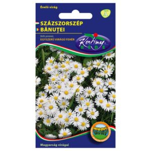 Százszorszép vetőmag, egyszerű virágú fehér 1 g