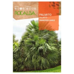 Törpe lószörpálma vetőmag 5 szem - Rocalba