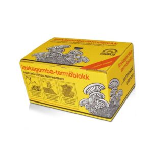 Laskagomba termőblokk - Rédei Kertimag