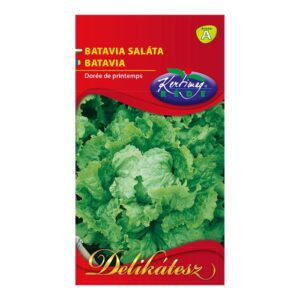 Batávia saláta 2 g - Rédei Kertimag